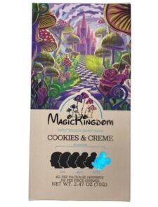 Magic Kingdom Chocolate Bars