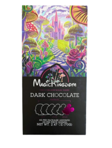 Magic Kingdom Chocolate Bars
